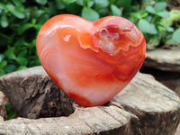 Polished Carnelian Gemstone Hearts x 6 From Madagascar