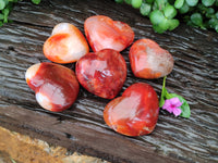 Polished Carnelian Gemstone Hearts x 6 From Madagascar