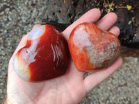 Polished Carnelian Gemstone Hearts x 6 From Madagascar