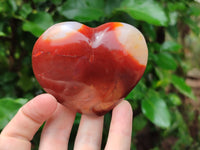 Polished Carnelian Gemstone Hearts x 6 From Madagascar