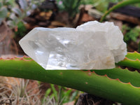 Natural Quartz Clusters x 8 From Mpika, Zambia