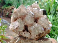 Natural Smokey Phantom Quartz Cluster x 1 From Luena, Congo