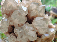 Natural Smokey Phantom Quartz Cluster x 1 From Luena, Congo