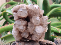 Natural Smokey Phantom Quartz Cluster x 1 From Luena, Congo