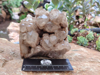 Natural Smokey Phantom Quartz Cluster x 1 From Luena, Congo