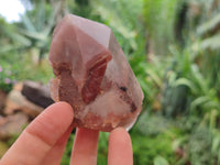 Natural Red Hematoid Quartz Clusters x 6 From Karoi, Zimbabwe