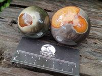 Polished Polychrome Jasper Spheres x 4 From Mahajanga, Madagascar