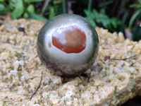 Polished Polychrome Jasper Spheres x 4 From Mahajanga, Madagascar