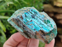 Natural Drusy Coated Chrysocolla Specimens x 7 From Likasi, Congo