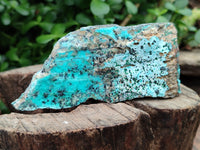 Natural Drusy Coated Chrysocolla Specimens x 7 From Likasi, Congo