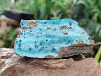 Natural Drusy Coated Chrysocolla Specimens x 7 From Likasi, Congo