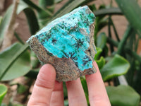 Natural Drusy Coated Chrysocolla Specimens x 7 From Likasi, Congo