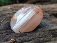 Polished Flower Agate Palm Stones x 12 From Madagascar