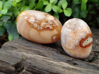 Polished Flower Agate Palm Stones x 12 From Madagascar