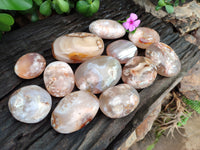 Polished Flower Agate Palm Stones x 12 From Madagascar