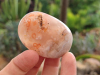 Polished Flower Agate Palm Stones x 12 From Madagascar