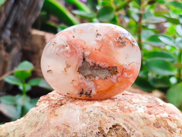 Polished Flower Agate Palm Stones x 12 From Madagascar