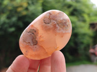 Polished Flower Agate Palm Stones x 12 From Madagascar