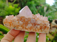 Natural Amethyst Spirit Quartz Clusters x 6 From Boekenhouthoek, South Africa