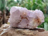 Natural Amethyst Spirit Quartz Clusters x 6 From Boekenhouthoek, South Africa