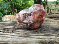 Polished Podocarpus Petrified Wood Heart x 1 From Mahajanga, Madagascar