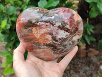 Polished Podocarpus Petrified Wood Heart x 1 From Mahajanga, Madagascar