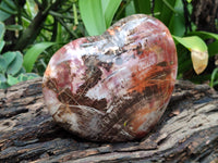 Polished Podocarpus Petrified Wood Heart x 1 From Mahajanga, Madagascar