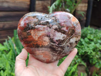 Polished Podocarpus Petrified Wood Heart x 1 From Mahajanga, Madagascar