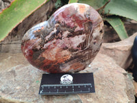 Polished Podocarpus Petrified Wood Heart x 1 From Mahajanga, Madagascar