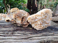 Natural Limonite Quartz Clusters x 2 From Solwezi, Zambia