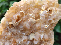 Natural Limonite Quartz Clusters x 2 From Solwezi, Zambia