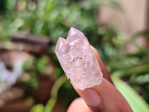 Natural Zululand Amethyst Crystals x 70 From South Africa