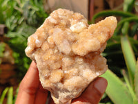 Natural Spirit Quartz Clusters x 6 From Boekenhouthoek, South Africa