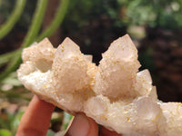 Natural Spirit Quartz Clusters x 6 From Boekenhouthoek, South Africa