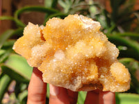 Natural Spirit Quartz Clusters x 6 From Boekenhouthoek, South Africa