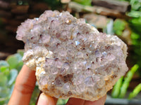 Natural Spirit Quartz Clusters x 6 From Boekenhouthoek, South Africa