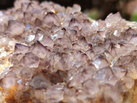 Natural Spirit Quartz Clusters x 6 From Boekenhouthoek, South Africa