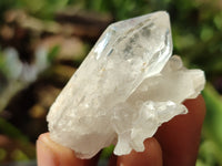 Natural Quartz Crystals x 35 From Zambia