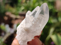 Natural Quartz Crystals x 35 From Zambia