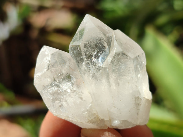 Natural Quartz Crystals x 35 From Zambia