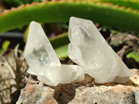 Natural Quartz Crystals x 35 From Zambia