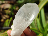 Natural Quartz Crystals x 35 From Zambia