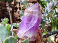 Polished Chevron Amethyst Points x 6 From Madagascar