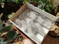 Natural Quartz Crystals x 16 From Zambia