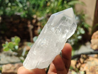 Natural Quartz Crystals x 16 From Zambia