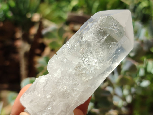 Natural Quartz Crystals x 16 From Zambia