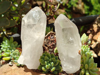 Natural Quartz Crystals x 16 From Zambia