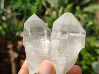 Natural Quartz Crystals x 16 From Zambia