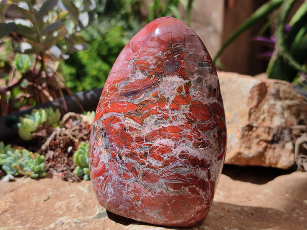 Polished Red Jasper Standing Free Forms x 2 From Madagascar