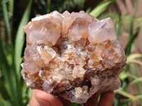 Natural Spirit Quartz Clusters x 2 From Boekenhouthoek, South Africa